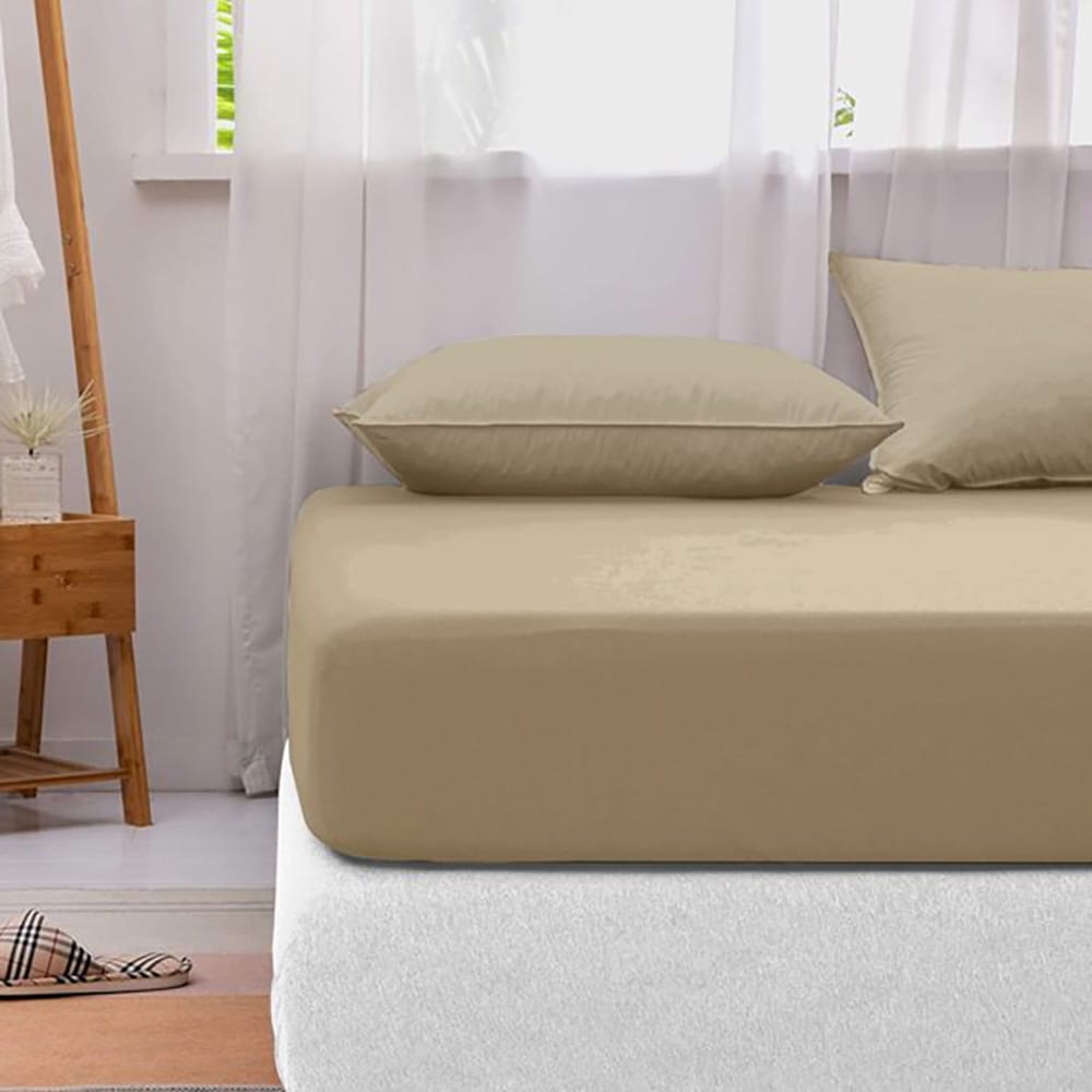Cotton Fitted Sheet - Hazelnut - TC 150 β Fitted Bed Sheets price in Pakistan